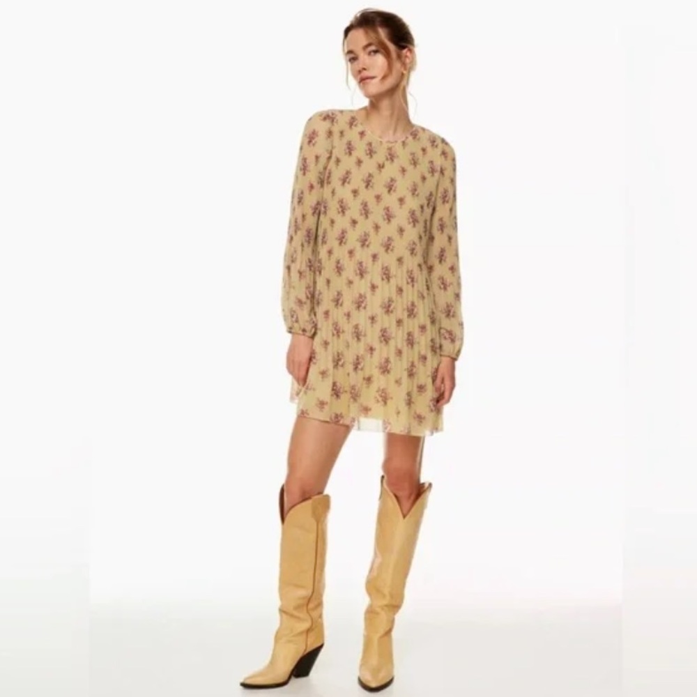 Wilfred Daydreamer Mini Dress